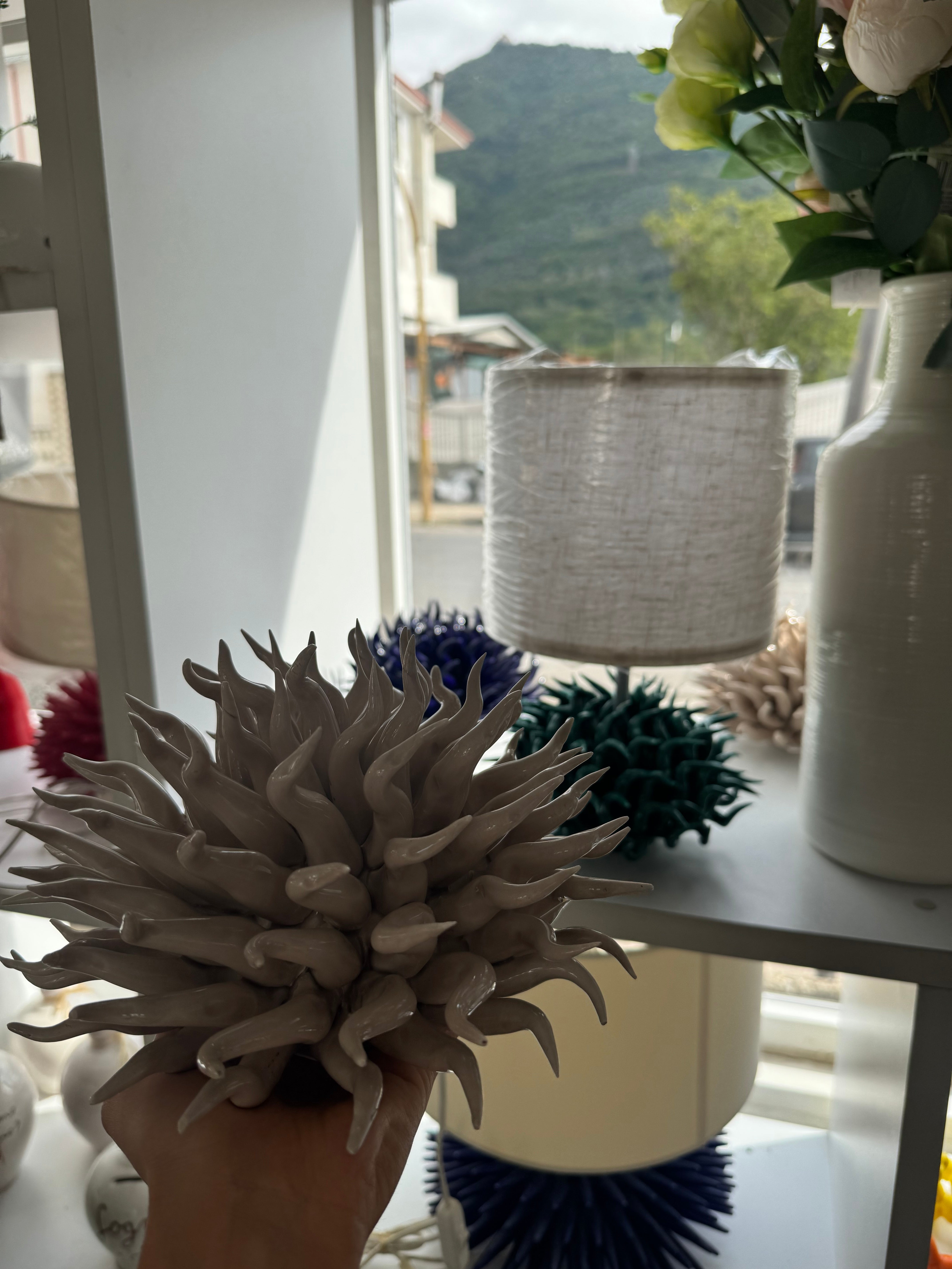 Anemone luxury