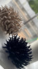 Anemone luxury